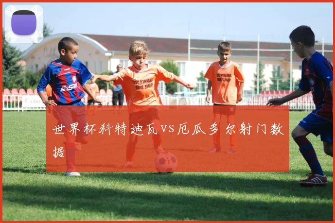 世界杯科特迪瓦vs厄瓜多尔射门数据