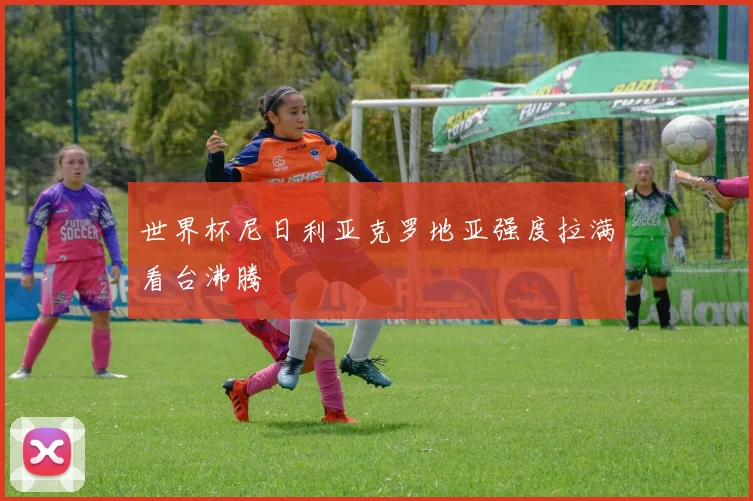 世界杯尼日利亚克罗地亚强度拉满看台沸腾